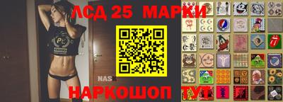 дживик Донской
